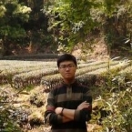 张瑞峰