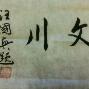 国民诗人汪国真题字《文川》杂志，寄语国文社！